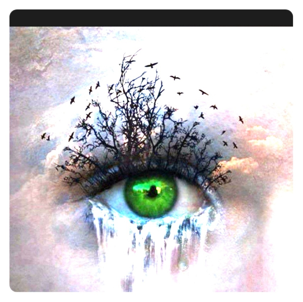Eyeshadow